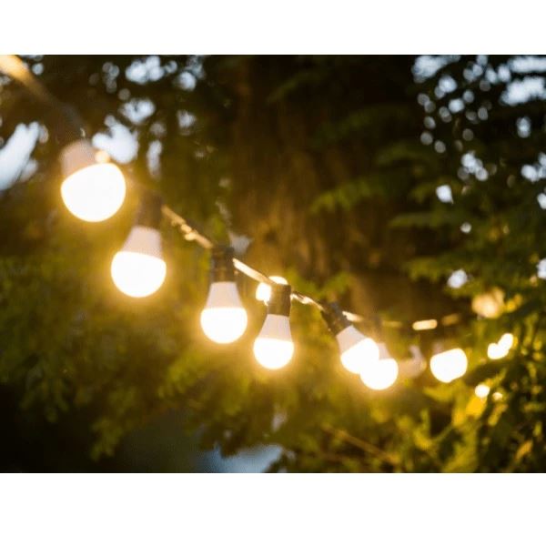 Lampjes en lampionnen