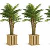 Kunstboom Palm (195 cm) in houten plantenbak Kunstboom Palm (195 cm) in houten plantenbak huren Zoetermeer - De Verhuurcentrale