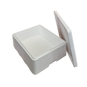 De Verhuurcentrale - Tempex Box voor het warmhouder of koud houden van etenswaren of bijvoorbeeld ijs.