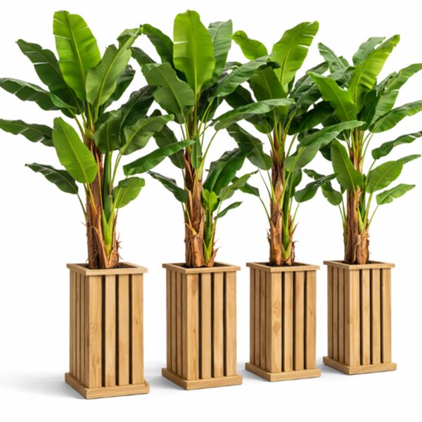 Kunstplant bananenplant huren bij De Verhuurcentrale Zoetermeer