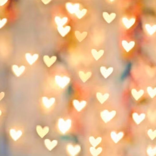 Hearts liefde backdrop achtergrond bij Photobooth huren De Verhuurcentrale Zoetermeer