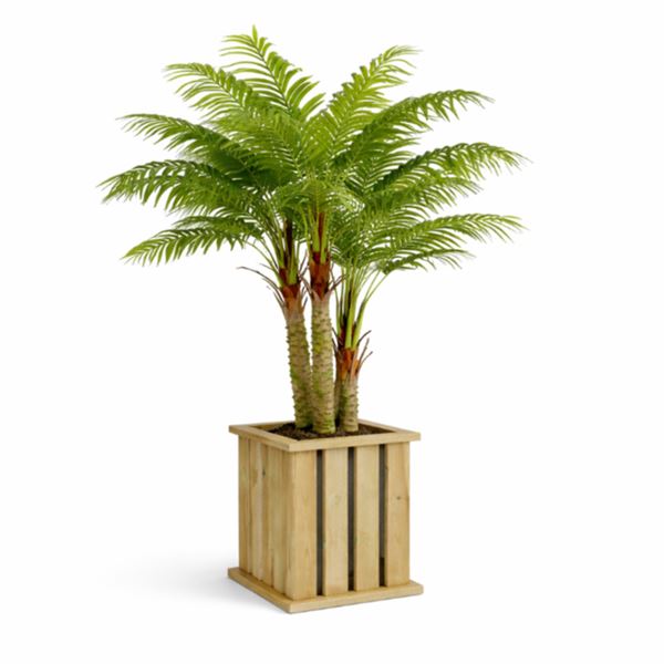 Kunstboom Palm (195 cm) in houten plantenbak huren Zoetermeer - De Verhuurcentrale Kunstboom Palm (195 cm) in houten plantenbak