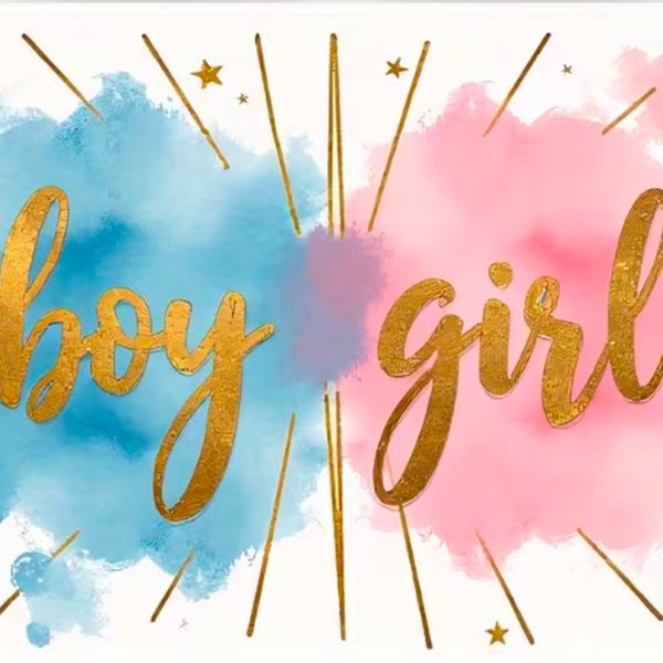 Gender Reveal babyshower backdrop achtergrond bij Photobooth huren De Verhuurcentrale Zoetermeer